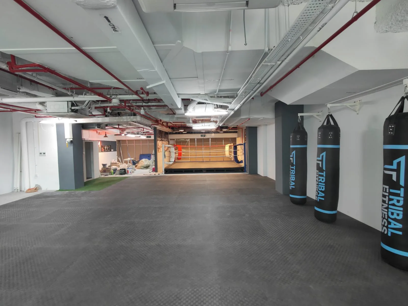 Havelock 2 project image 7