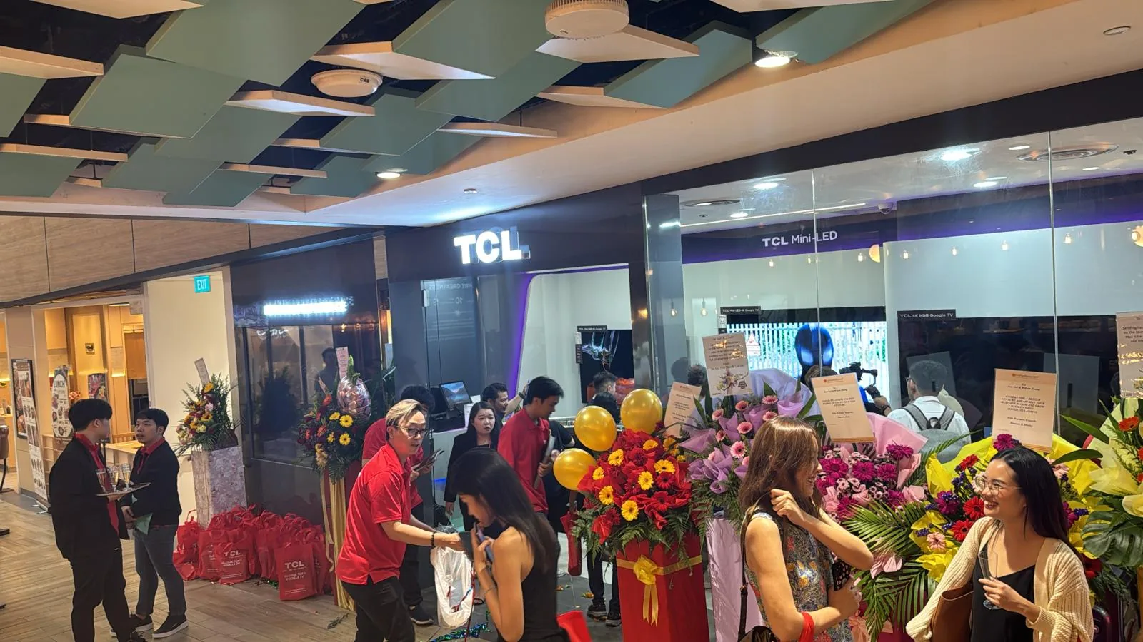 TCL Northpoint project image 4